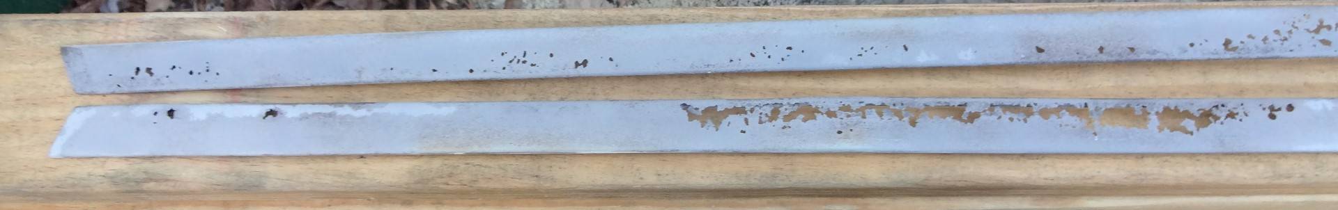 DSC02543 (Large).JPG