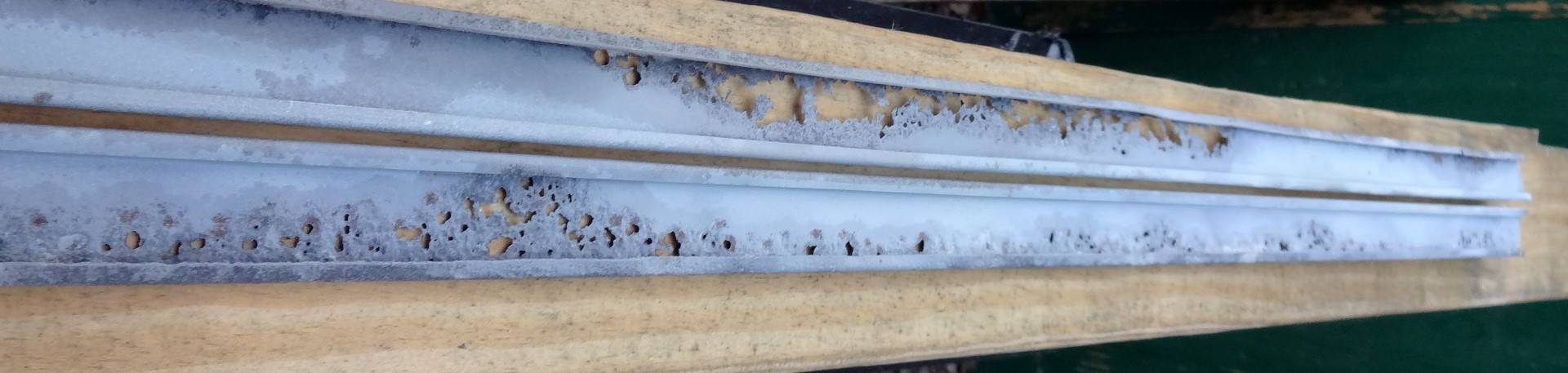 DSC02546 (Large).JPG