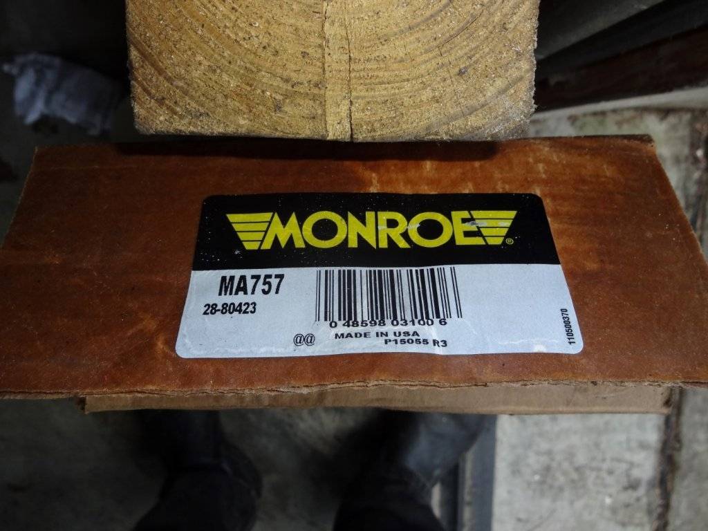 DSC02566 (Large).JPG