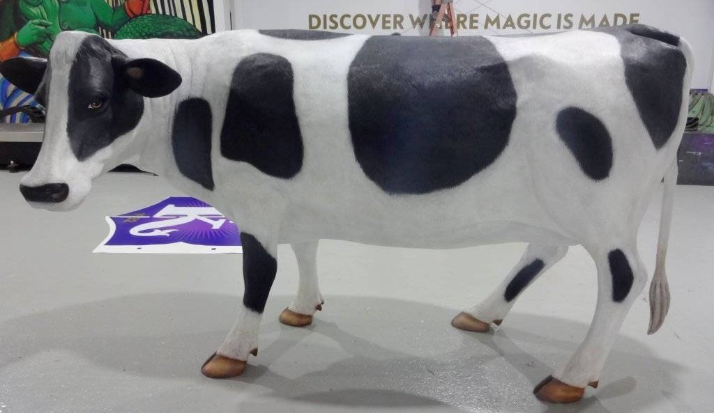 DSC02640 (Large).JPG