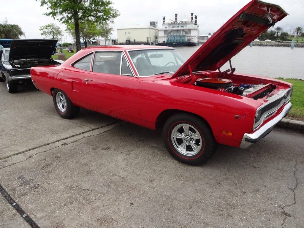 DSC02656 (Large).JPG