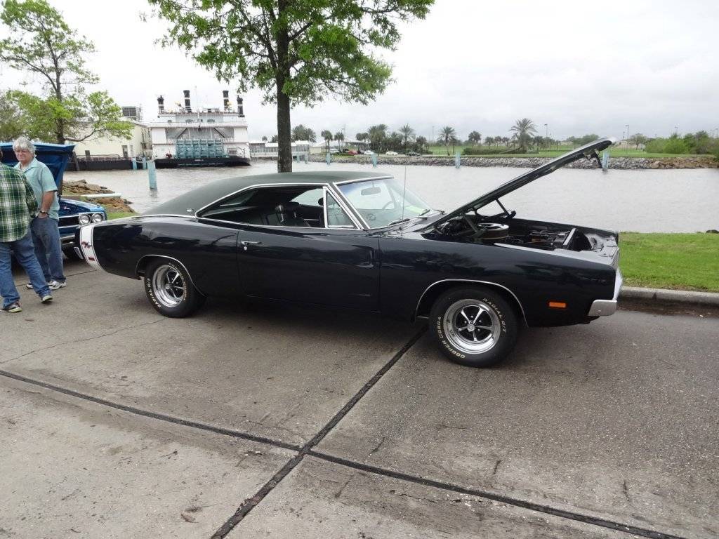 DSC02657 (Large).JPG