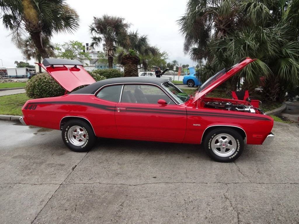 DSC02663 (Large).JPG