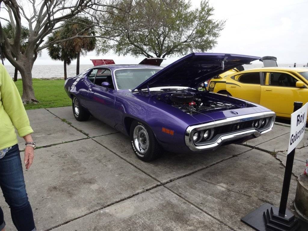 DSC02664 (Large).JPG