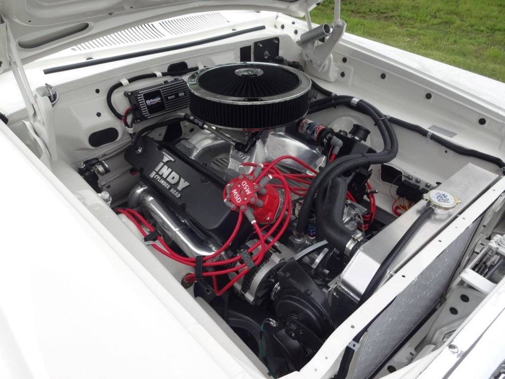 DSC02673 (Large).JPG