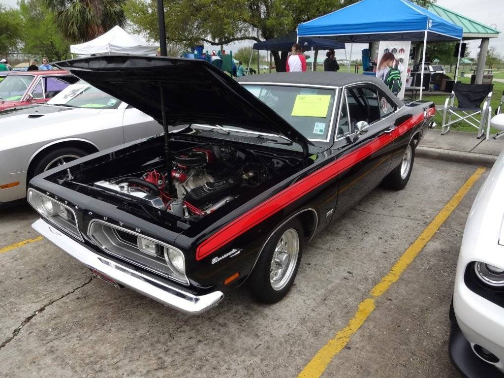 DSC02682 (Large).JPG