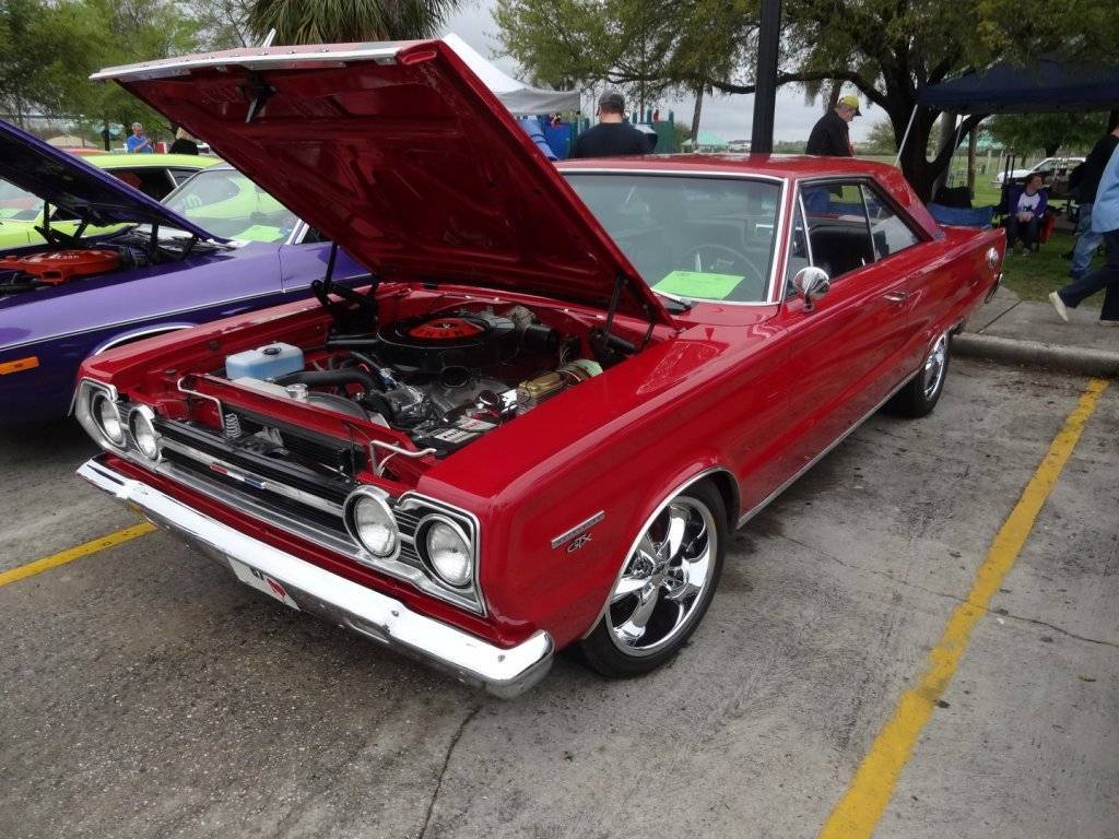 DSC02683 (Large).JPG