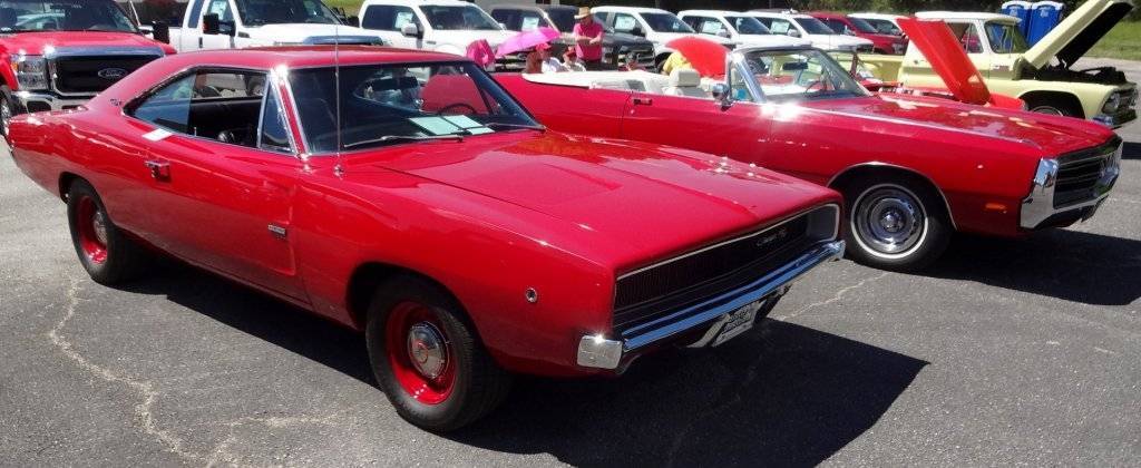 DSC02753 (Large).JPG