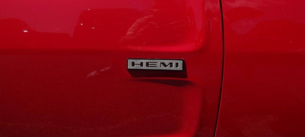 DSC02754 (Large).JPG