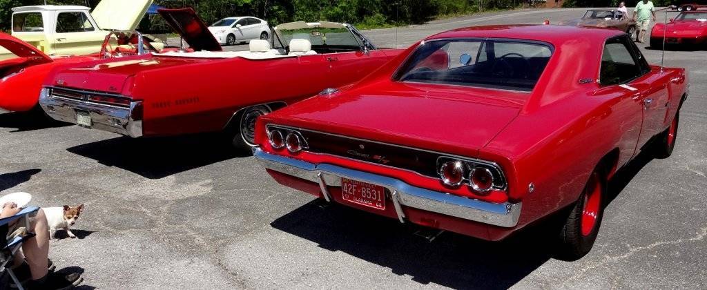 DSC02755 (Large).JPG