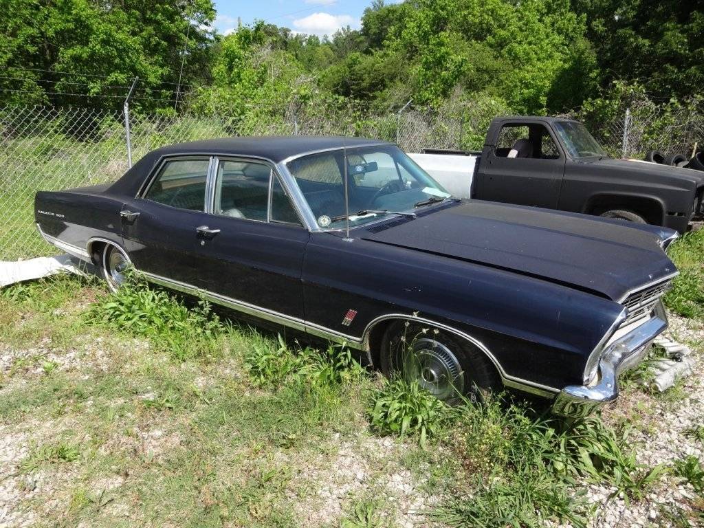 DSC02761 (Large).JPG