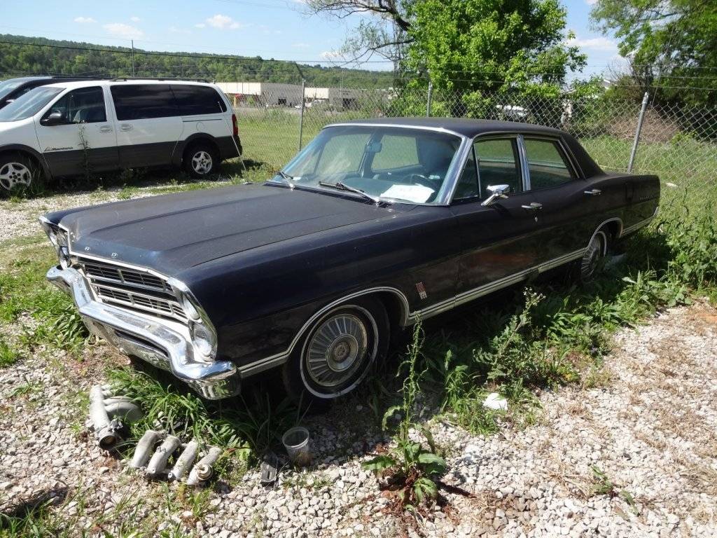 DSC02762 (Large).JPG