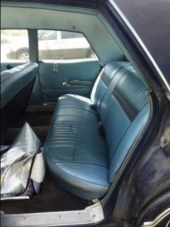 DSC02767 (Large).JPG