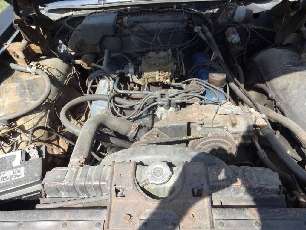 DSC02768 (Large).JPG