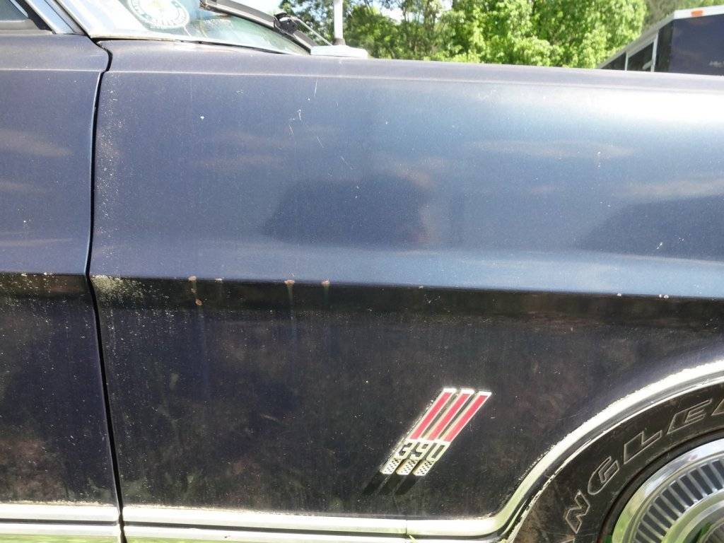 DSC02769 (Large).JPG