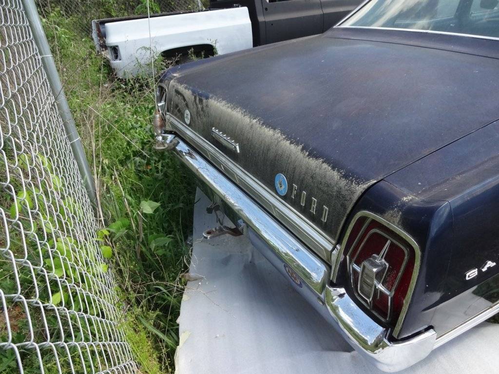 DSC02770 (Large).JPG