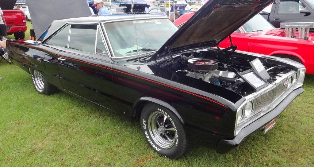 DSC02795 (Large).JPG