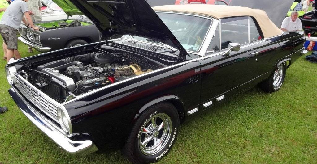 DSC02802 (Large).JPG