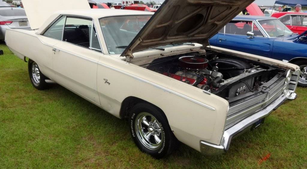 DSC02813 (Large).JPG