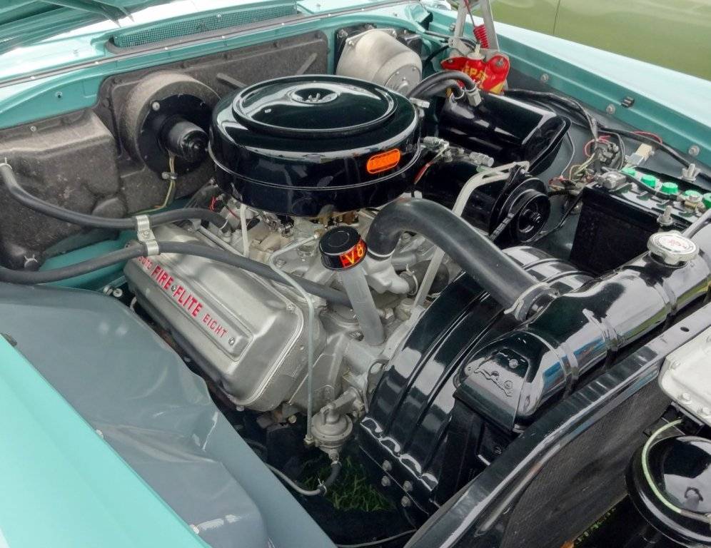 DSC02817 (Large).JPG