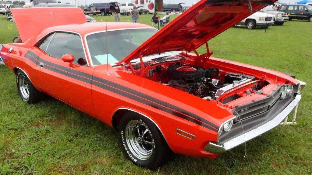 DSC02822 (Large).JPG