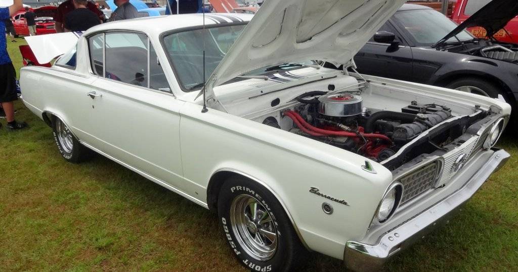 DSC02824 (Large).JPG