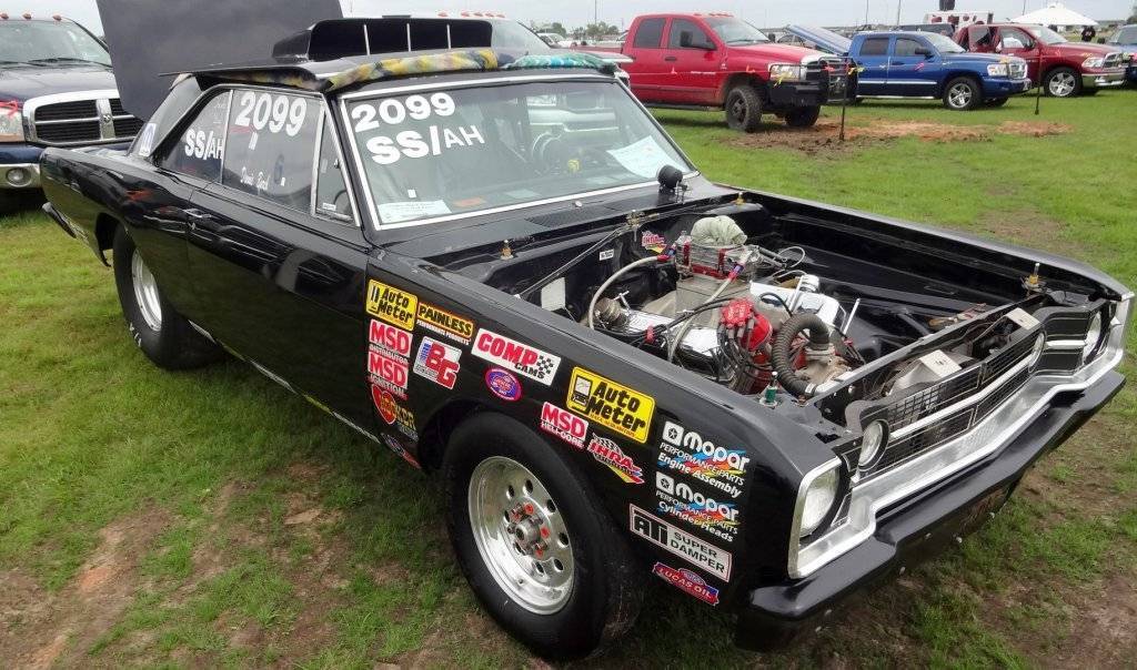 DSC02827 (Large).JPG