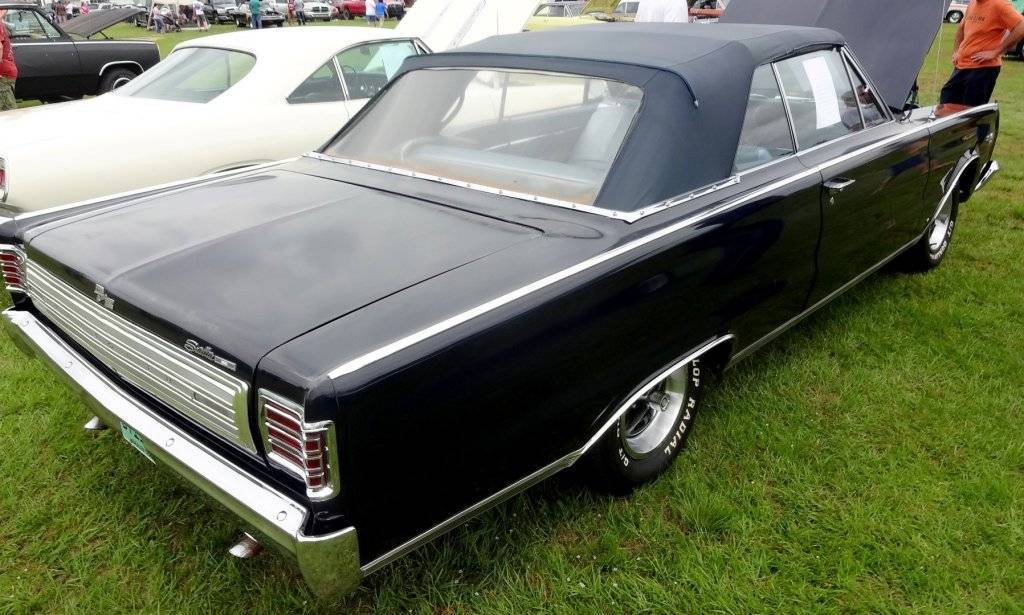 DSC02832 (Large).JPG