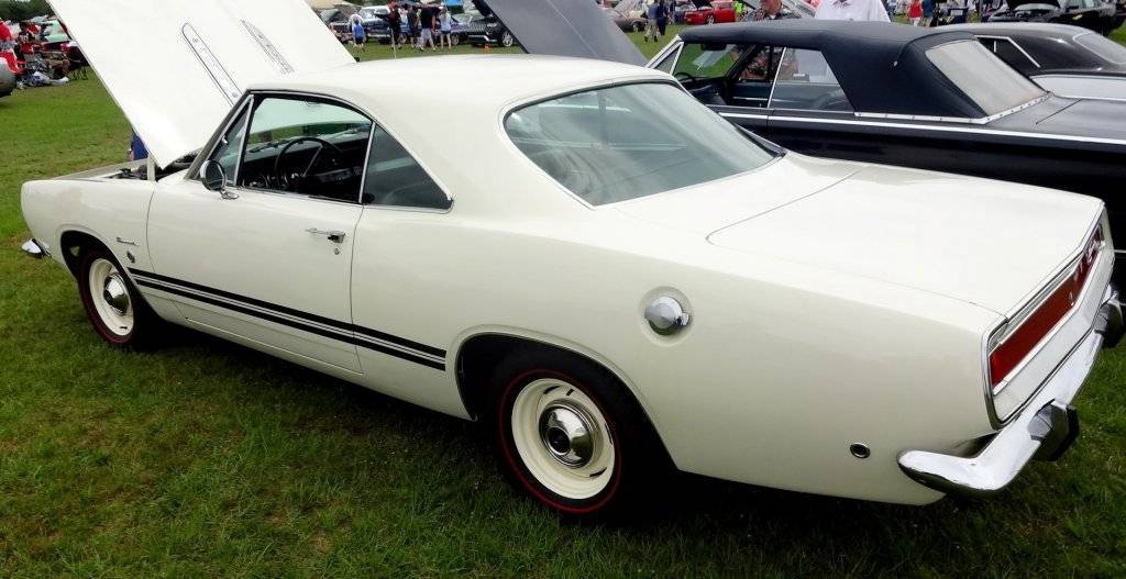 DSC02833 (Large).JPG