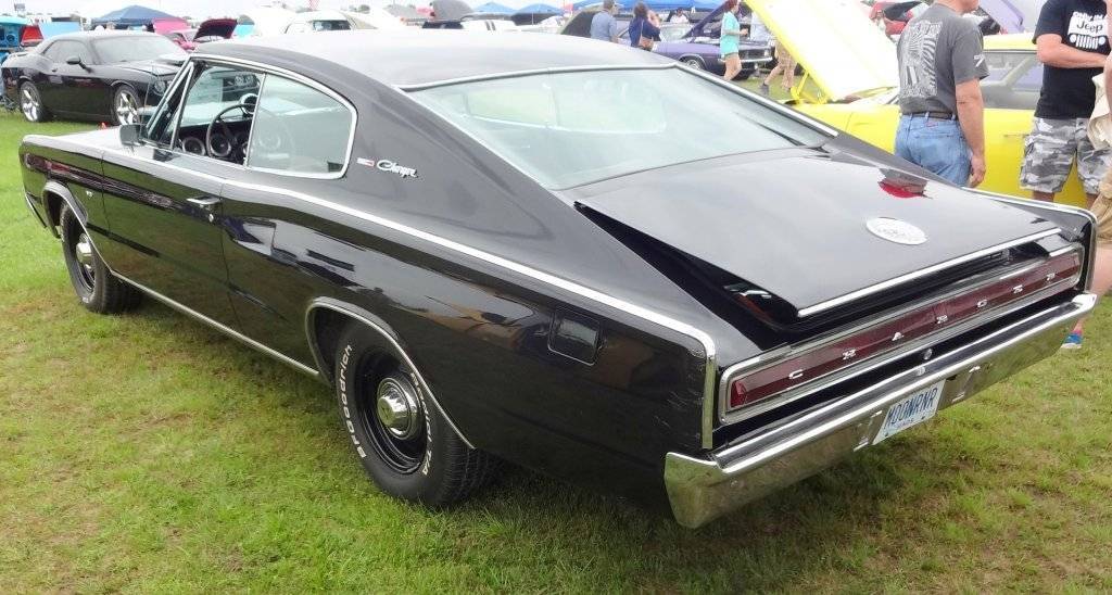 DSC02834 (Large).JPG