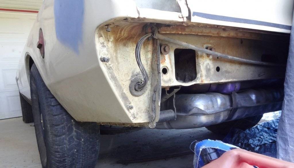 DSC02898 (Large).JPG