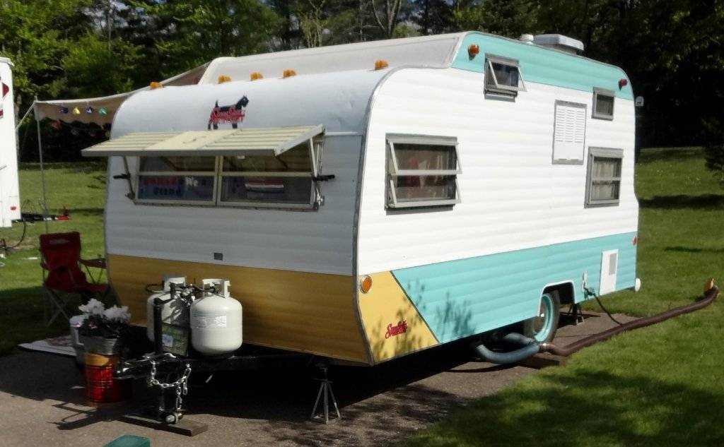 DSC02910 (Large).JPG