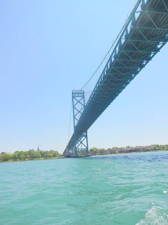 DSC02979 (Large).JPG