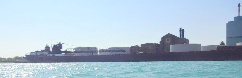 DSC02987 (Large).JPG