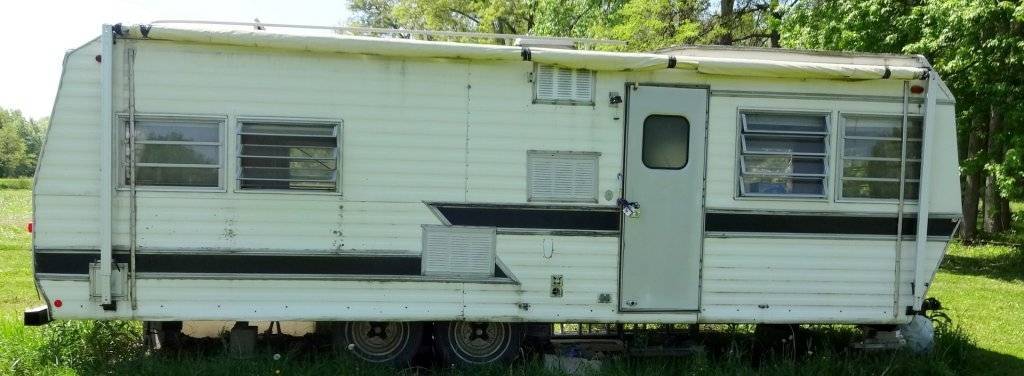 DSC02990 (Large).JPG