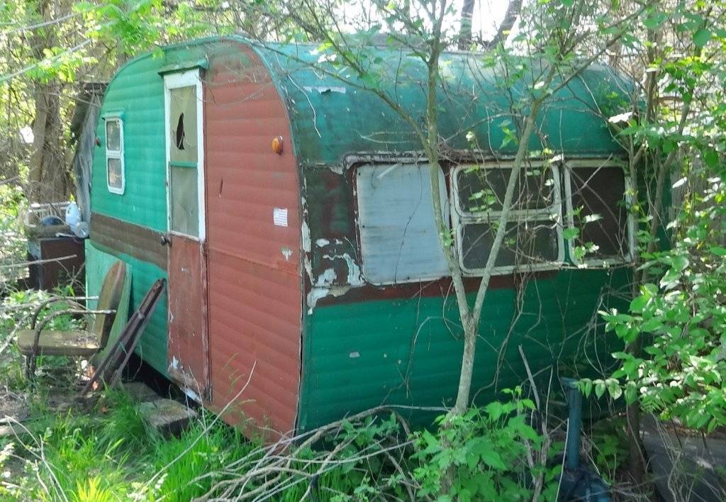 DSC02995 (Large).JPG