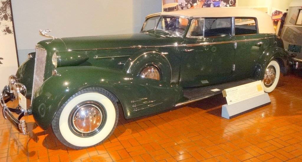 DSC03043 (Large).JPG