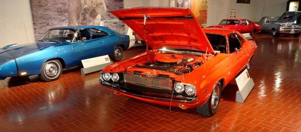 DSC03059 (Large).JPG