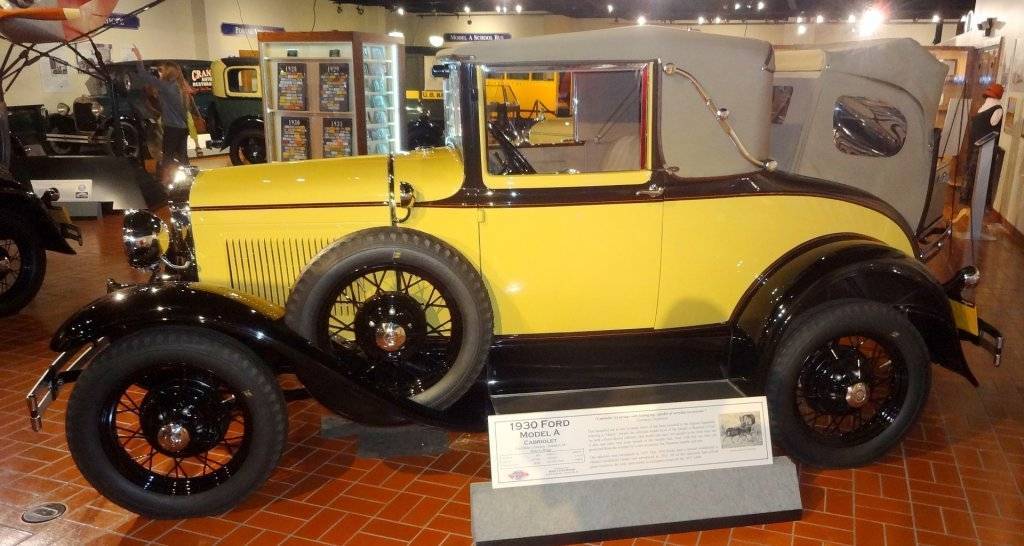 DSC03065 (Large).JPG