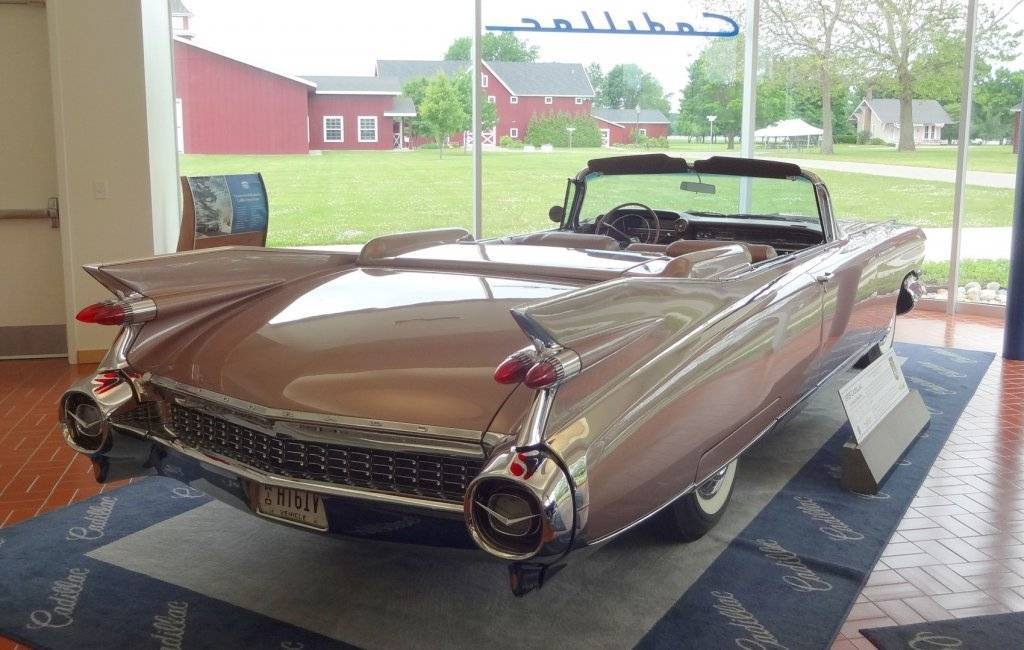 DSC03068 (Large).JPG