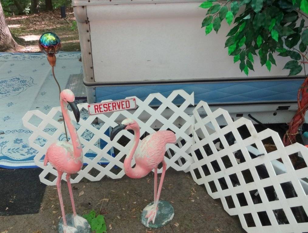 DSC03088 (Large).JPG