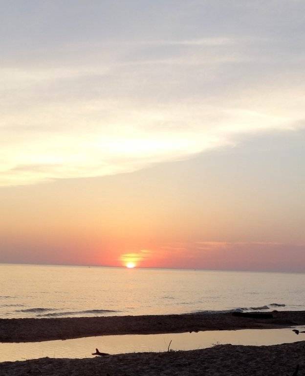 DSC03109 (Large).JPG