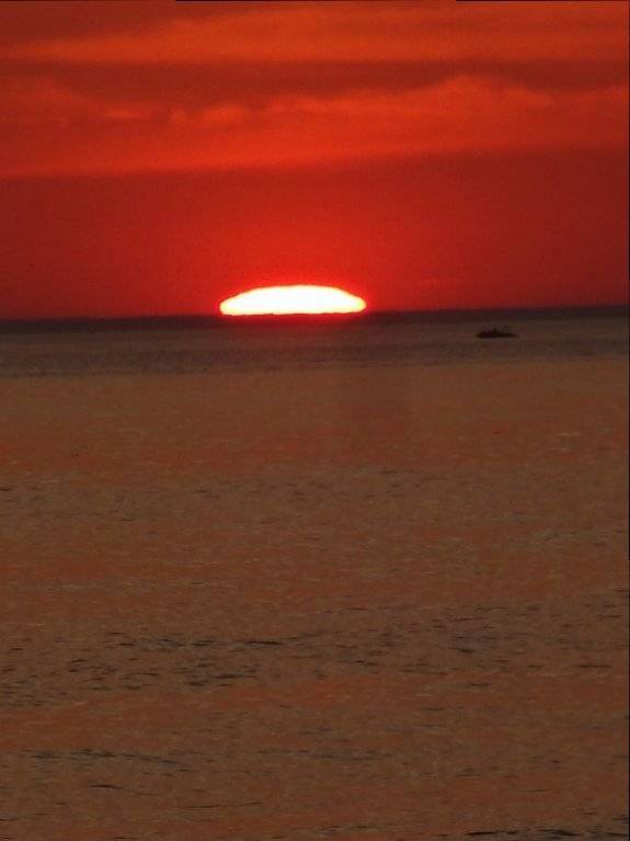 DSC03110 (Large).JPG