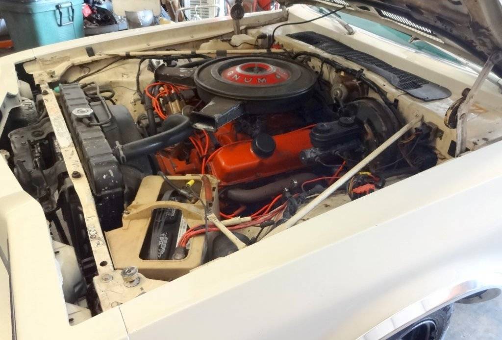 DSC03182 (Large).JPG