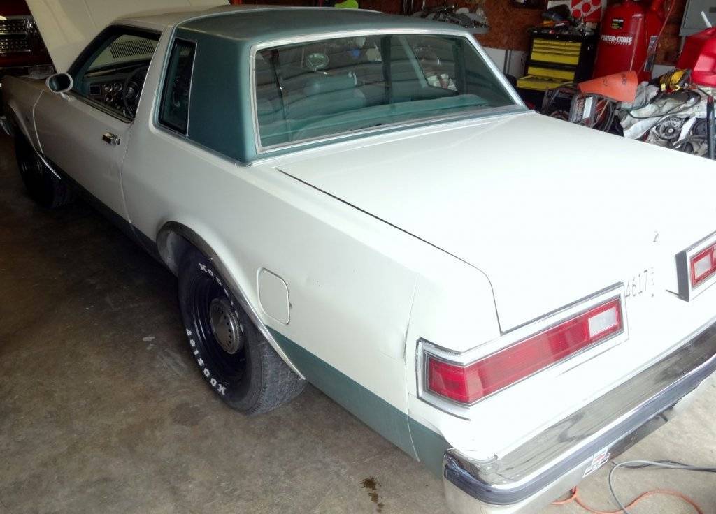 DSC03185 (Large).JPG