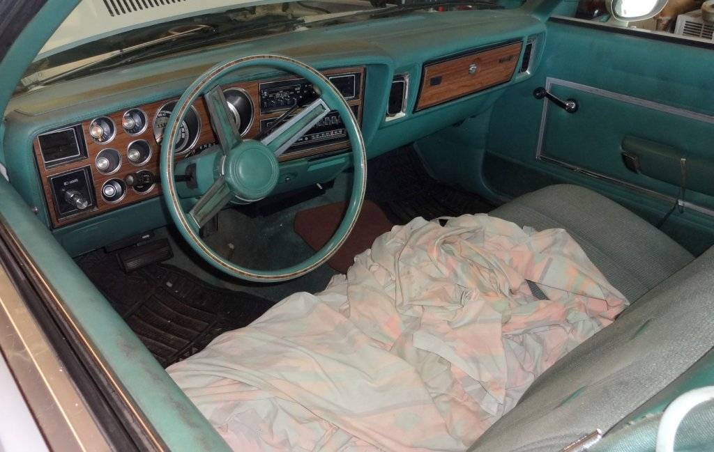 DSC03186 (Large).JPG