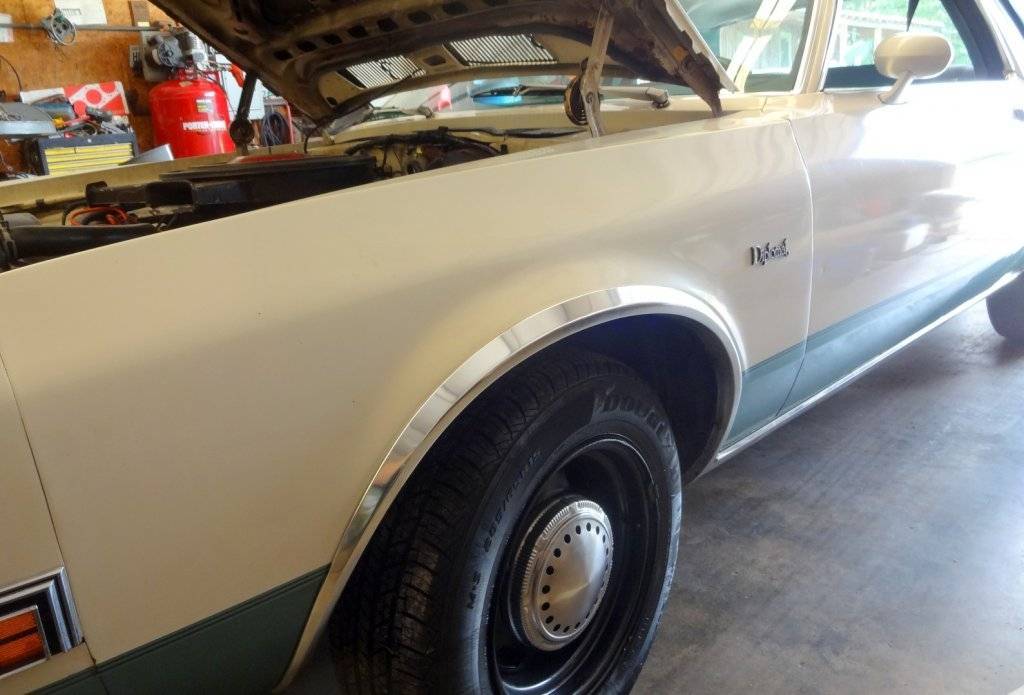 DSC03187 (Large).JPG