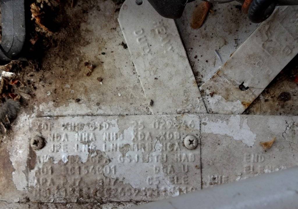 DSC03197 (Large).JPG