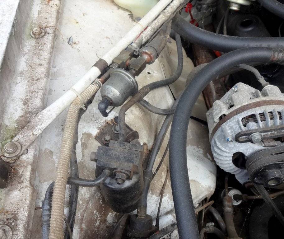 DSC03199 (Large).JPG