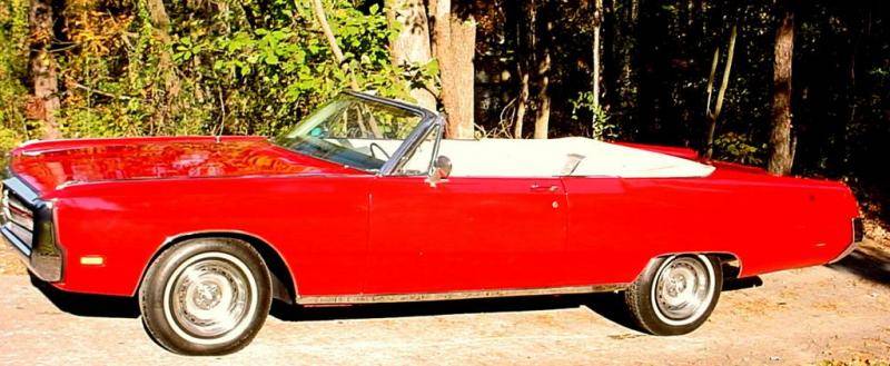 DSC06842 (Large).jpg